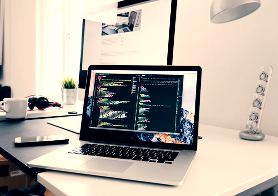 Web Design Services: