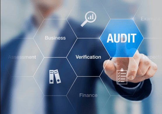 IT AUDITING SERVICES