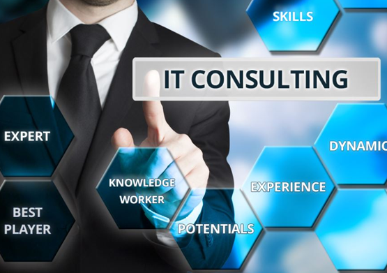 IT CONSULTING SERVICES